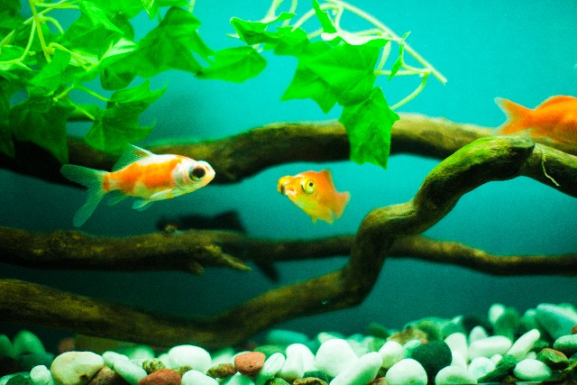 �����H���@�΍�